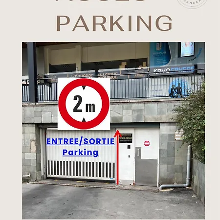 L'elegance Du Centre - Gare Congres - Parking - T3