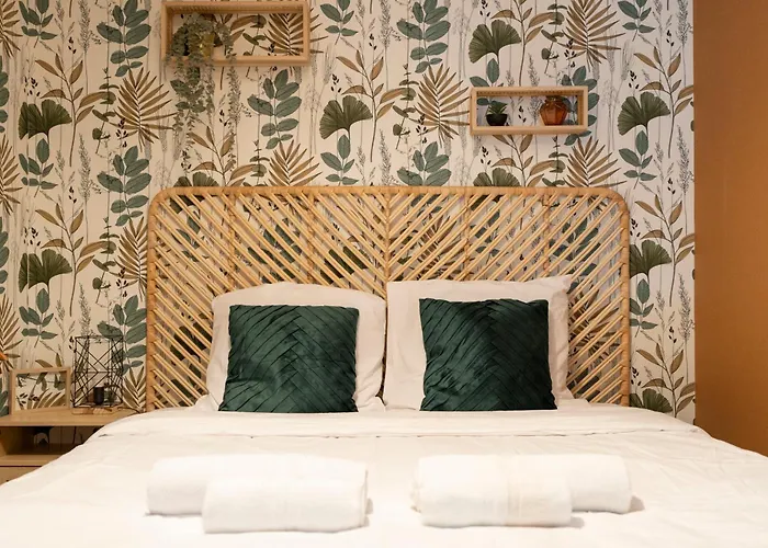 L'elegance Du Centre - Gare Congres - Parking - T3