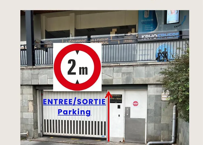 L'elegance Du Centre - Gare Congres - Parking - T3